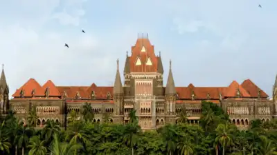 Bombay HC asks govt for measures to tackle firecrackers, lasers noise pollution; to pass order at 4