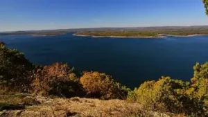 In 2009, an Arkansas tree seller supplied 500 Christmas trees for fish habitat in Greers Ferry