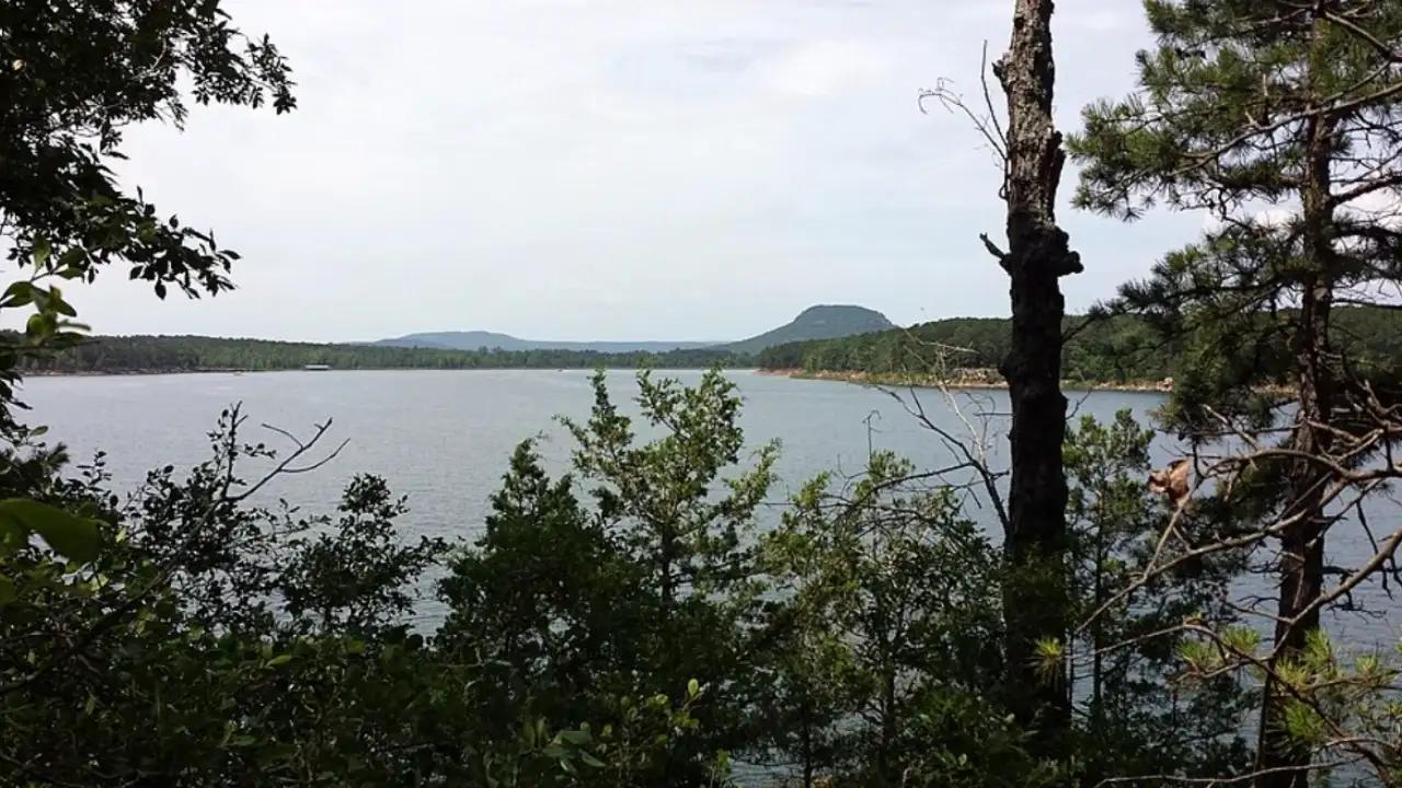 In 2009, an Arkansas tree seller supplied 500 Christmas trees for fish habitat in Greers Ferry
