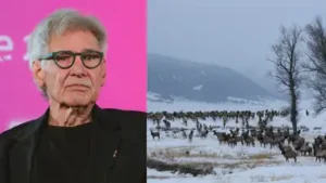 389 acres were placed in perpetual protection Ford had placed 389 acres of his 800-acre ranch