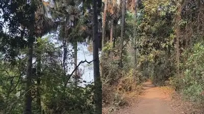 Villagers will receive increased compensation for Palmyra trees along the Kalyan Ring Road