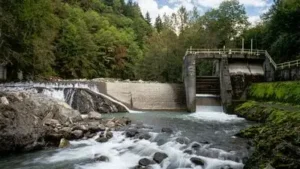 In 2020, the US removed 69 dams, reconnecting 624 miles of rivers: The wider industry impact