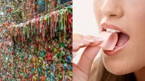 Tucked beneath the famous Pike Place Market, the Seattle Gum Wall has spent decades attracting