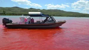 In 2024, Alabama turned three Fish River sites red, using harmless: The wider industry impact