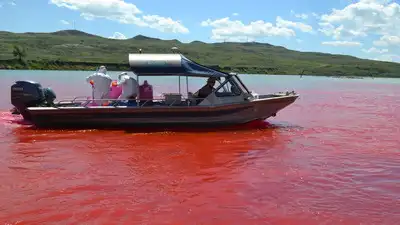In 2024, Alabama turned three Fish River sites red, using harmless: The wider industry impact