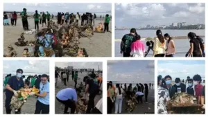 Students unite for beach clean-up: 207 kg of waste removed: The wider industry impact