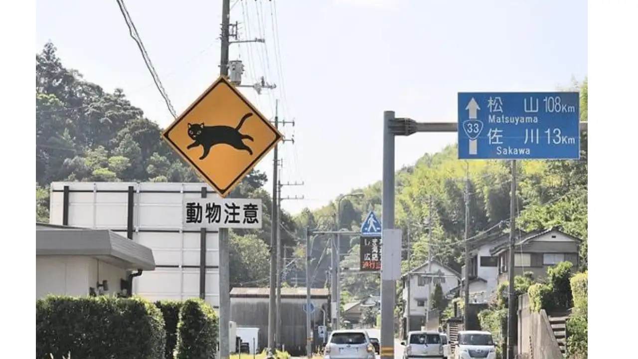 Instead of presenting wildlife as an abstract road hazard, the signs: The wider industry impact