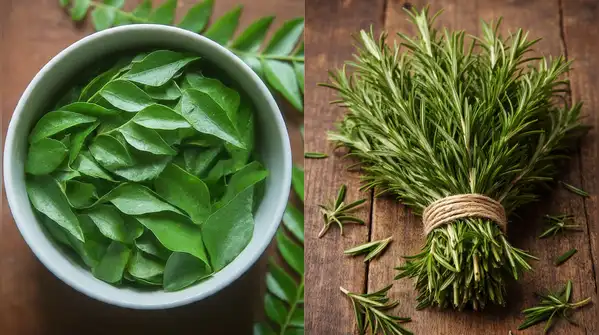 If we talk about the herbal ingredients for which scientific proof supports their use for hair