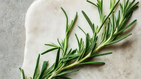 If we talk about the herbal ingredients for which scientific proof supports their use for hair