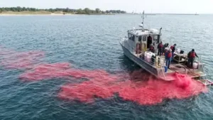 Over roughly 21 hours, the team observed the dye patch's dispersion: The wider industry impact