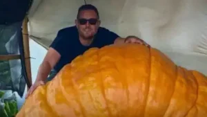 Essex gardener grows 1,200lb pumpkin named Gladys that gained more than 40lb in a single night