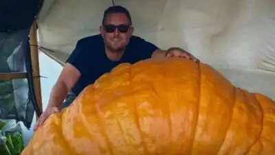 Essex gardener grows 1,200lb pumpkin named Gladys that gained more than 40lb in a single night