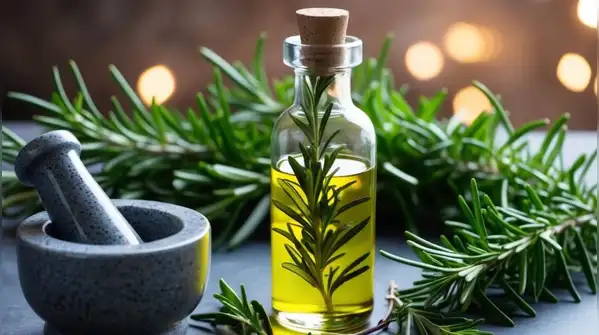 For hair growth purposes, the debate on the superiority of coconut oil and rosemary oil is