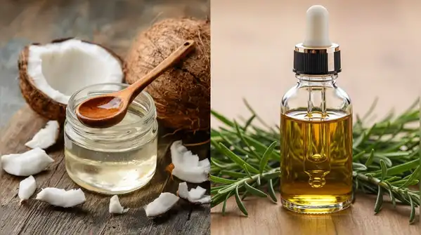 For hair growth purposes, the debate on the superiority of coconut oil and rosemary oil is