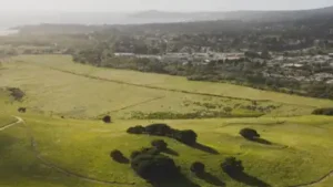 When actor Clint Eastwood bought a 134-acre former artichoke farm near California’s Carmel