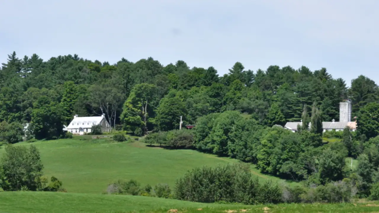 It is Vermont's forests, protected against development pressures: The wider industry impact