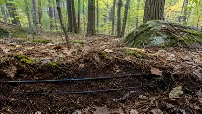 Researchers established heated plots alongside control plots: The wider industry impact