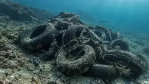 Discarded vehicle tyres rest on the seafloor of Puget Sound, where: The wider industry impact