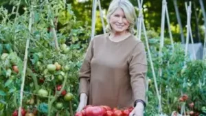 When Martha Stewart purchased a 152-acre farmhouse in Katonah, New: The wider industry impact