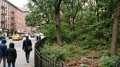 Artist Alan Sonfist proposed the idea in 1965, according to NYC Parks