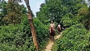 Police audit raises red flags in green spaces across Delhi