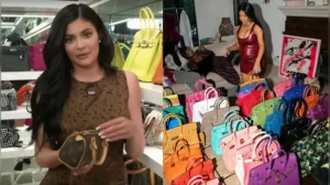 Let’s quickly examine five of the most popular Hermès collectors who have an overwhelming love
