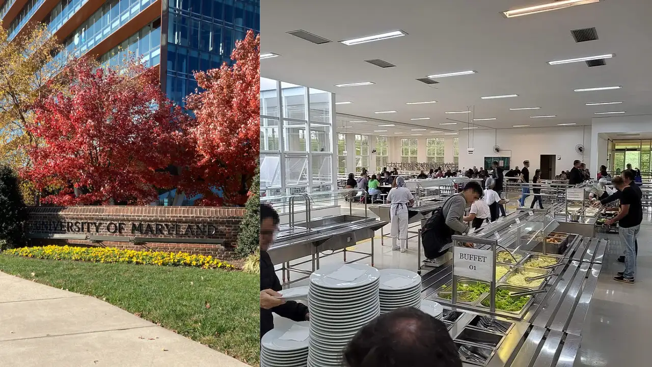 Food Recovery Network began in 2011 after University of Maryland: The wider industry impact