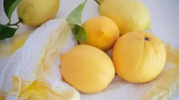 A practical guide to keep lemons fresh for weeks: Simple storage tips to prevent drying, spoilage