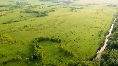 A Wisconsin family tried for years to drain nearly 2,000 floodplain: The wider industry impact