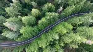 Portland General Electric's Harborton Reliability Project, which: The wider industry impact
