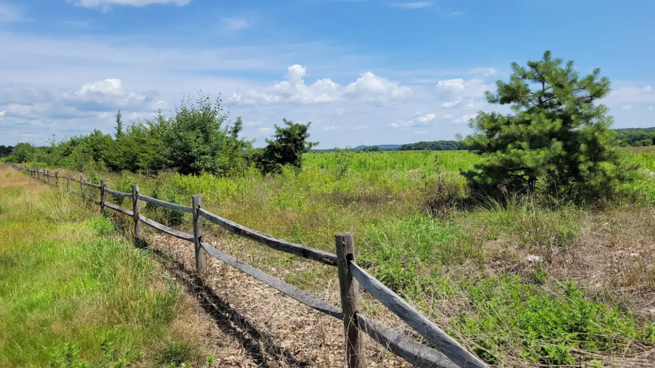 Walter Matthau and his wife gave a Roxbury hayfield to a land trust in 1997