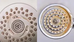 : The simple cleaning trick that can remove limescale from shower holes and help restore water