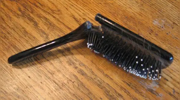 You should clean your brush regularly and not wait until it resembles a small archaeological