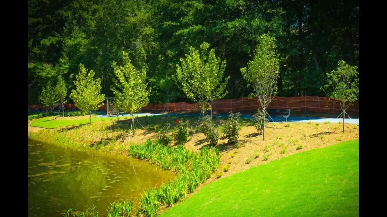 A 1950s farm pond at one of Georgia's busiest parks had leaking: The wider industry impact