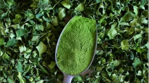Once the moringa powder becomes part of a daily routine, its effects on skin and hair tend