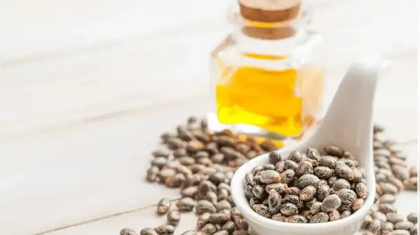 You will need about five minutes to make this quick DIY beauty treatment with castor oil