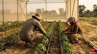 Mukhyamantri Krishak Samriddhi Yojana: The wider industry impact