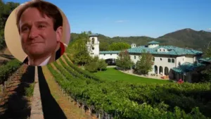 Robin Williams' Napa Valley estate, known as Villa Sorriso, was: The wider industry impact