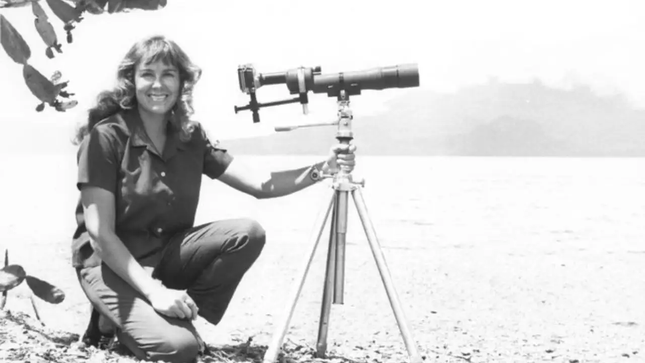 Deep in New York's Adirondack wilderness, Anne LaBastille chose to build a life that most