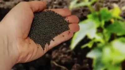 For 100 years, Milwaukee has been turning human waste into lawn: The wider industry impact