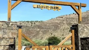 A Oregon cattle ranch spanning 37 square miles sold for $27.55: The wider industry impact