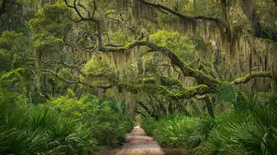 The US wants to swap federal land on Georgia's Cumberland Island for privately owned parcels; any