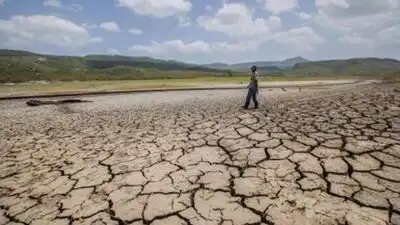 Maharashtra declares 265 of 358 talukas drought-hit, announces farm: The wider industry impact