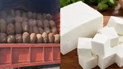Telangana bans artificial, non-dairy analogue paneer for 1 year; 5 outlets lose licences