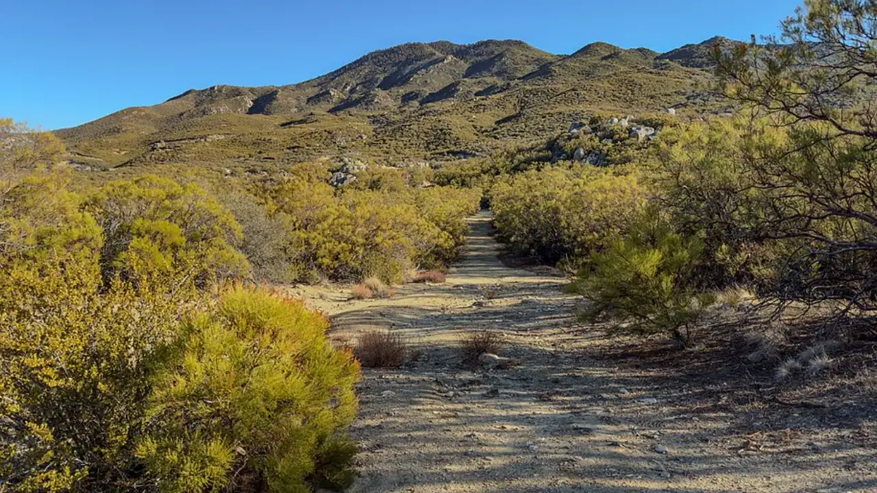 Because the same type of steep, arid country is occupied by desert: The wider industry impact