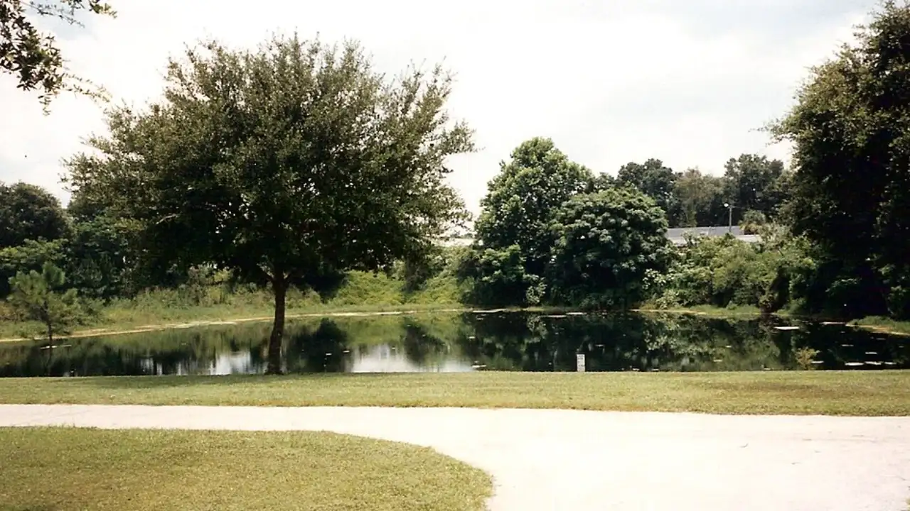 In 1981, a Florida sinkhole grew overnight to roughly 300 feet wide, swallowing a three-bedroom