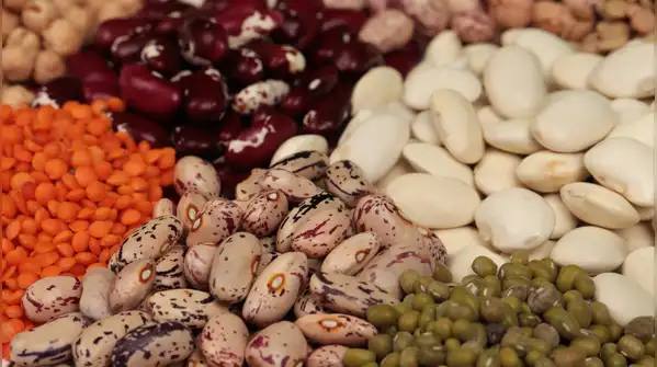 Longevity expert Dr Darshan Shah, who shares nutrition and health information on Instagram