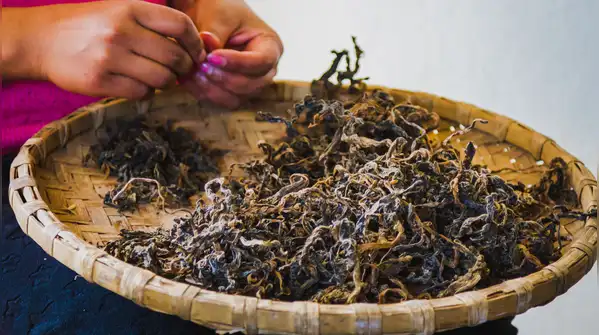 How Himalayan villages preserve food for months without a modern kitchen