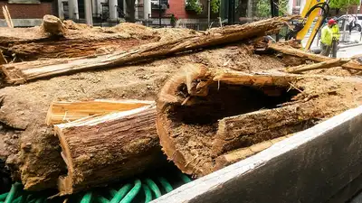 Workers replacing a water main on Philadelphia's Spruce Street: The wider industry impact