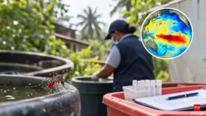 El Niño-linked warming in the Pacific Ocean could increase dengue: The wider industry impact